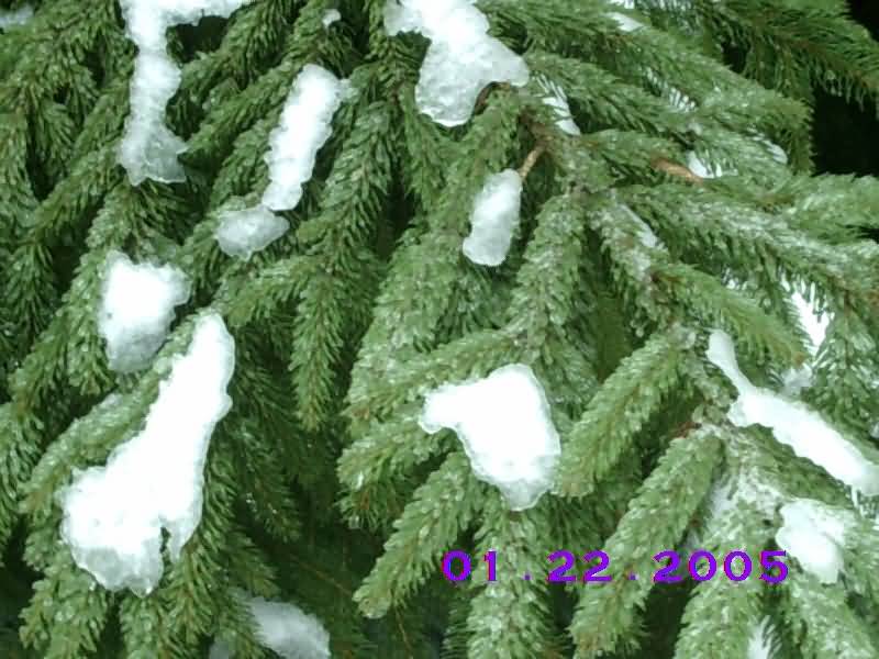 Image of jan22^08.jpg